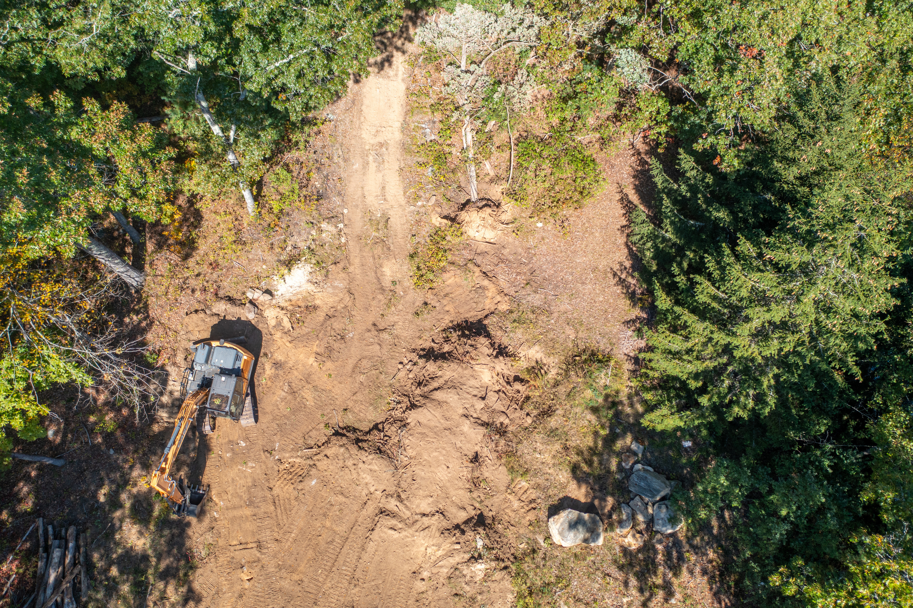 66 Bates Avenue Putnam, CT 06260 - Photo 8 of 18 a close up of a tree