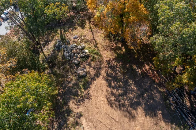 a view of a forest with trees