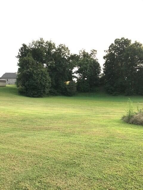 1154 Houston Springs Road Greenback, TN 37742 - Photo 27 of 30 Gallery Image 27