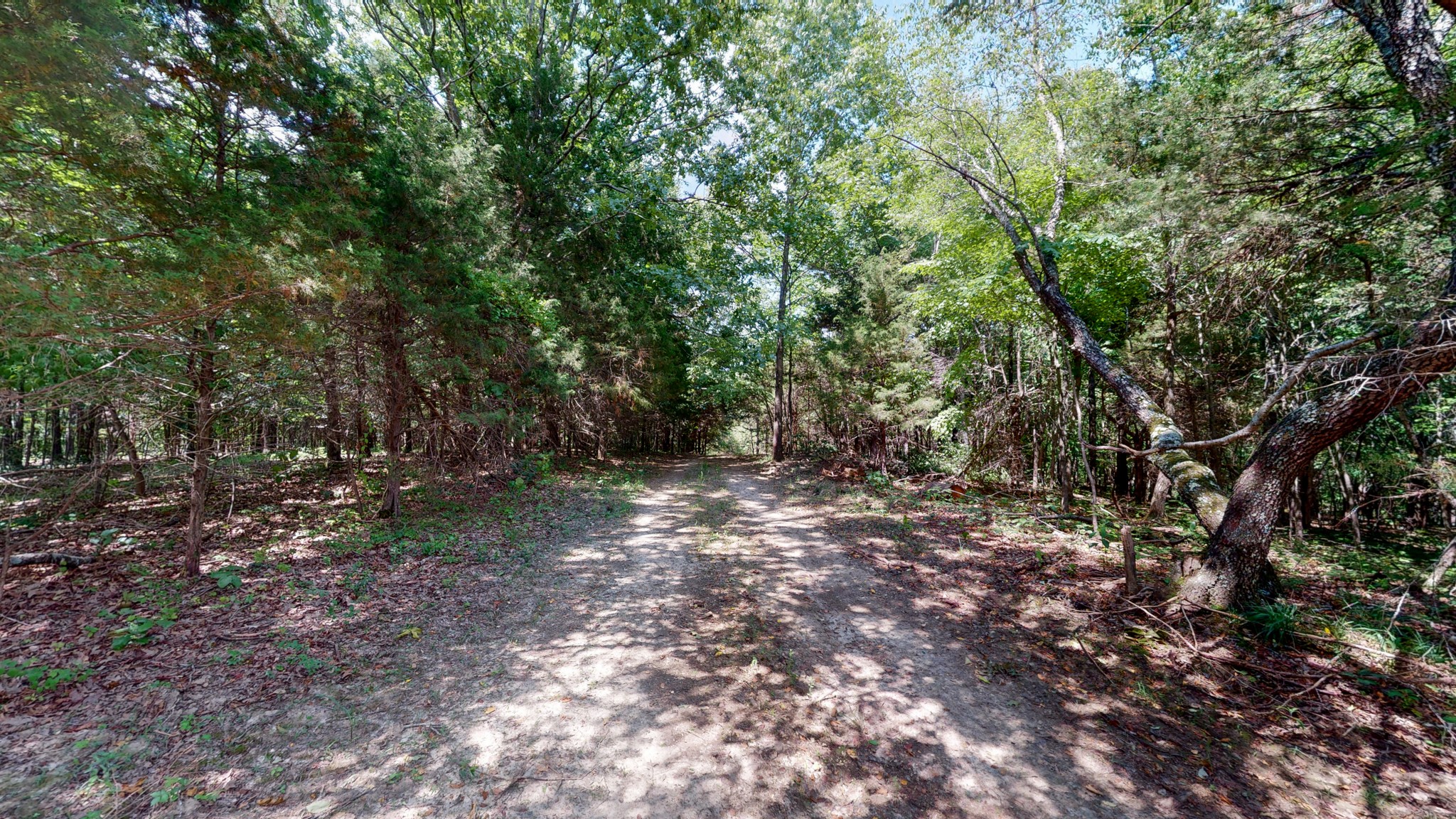 1560 Old Road Dickson, TN 37055 - Photo 25 of 47 Gallery Image 25