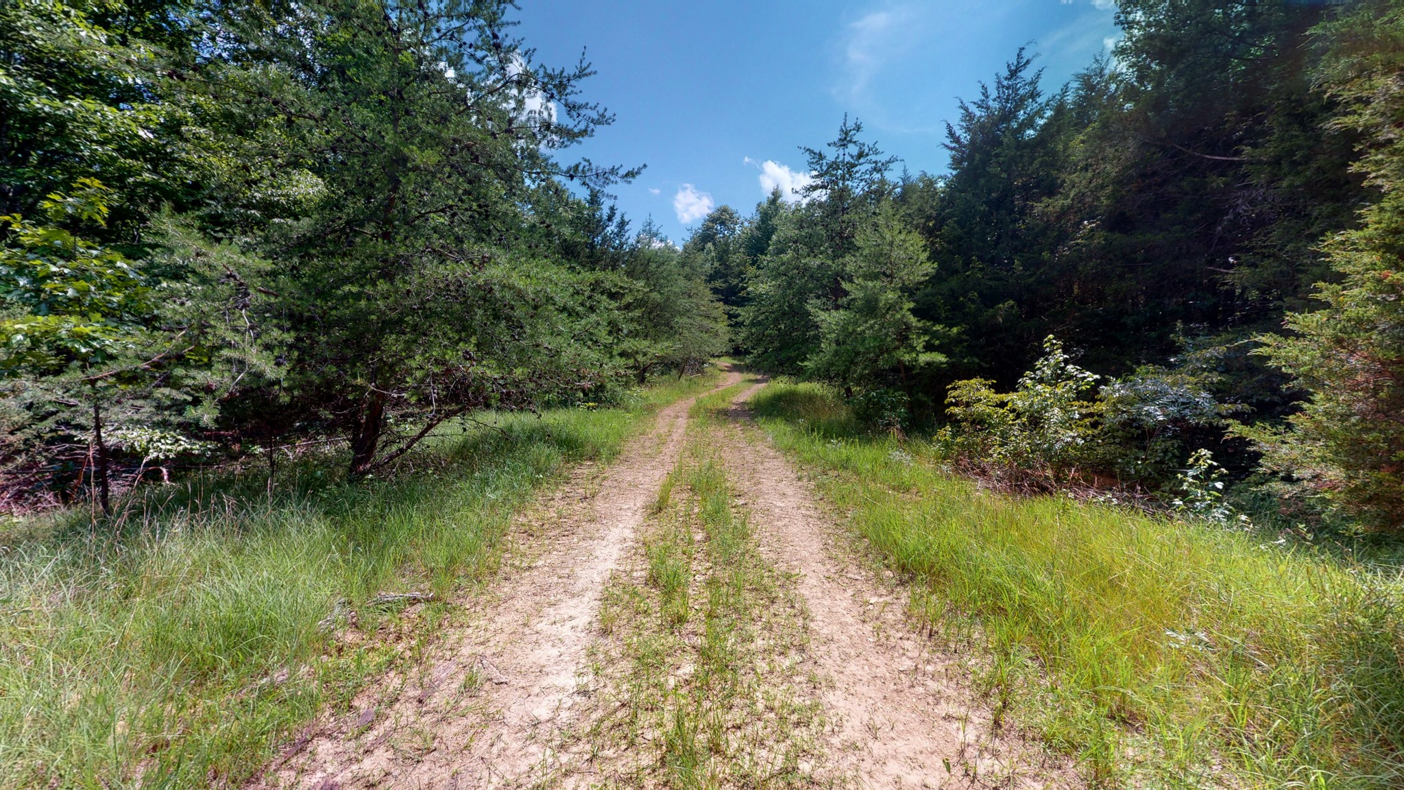 1560 Old Road Dickson, TN 37055 - Photo 27 of 47 Gallery Image 27