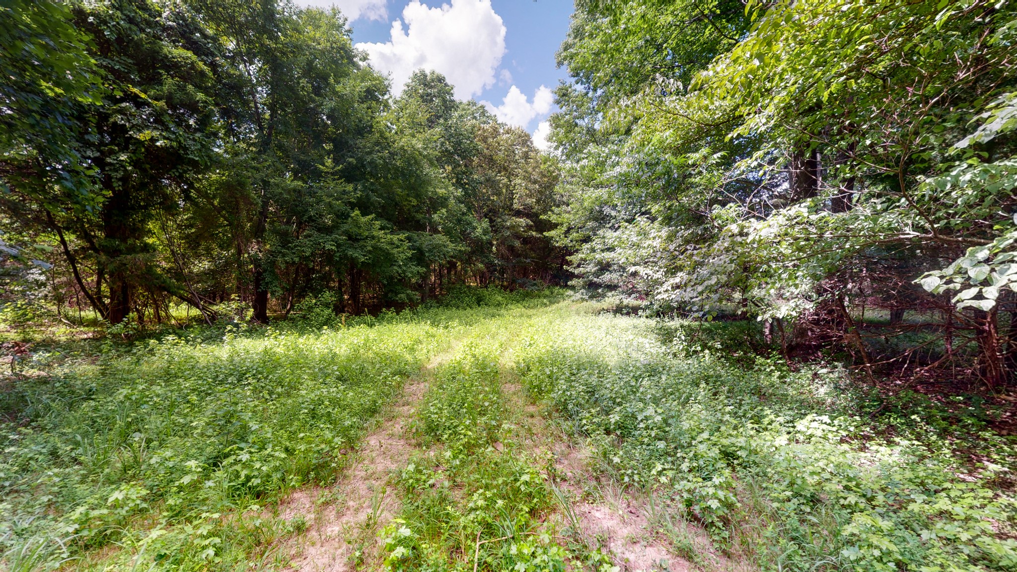 1560 Old Road Dickson, TN 37055 - Photo 28 of 47 Gallery Image 28