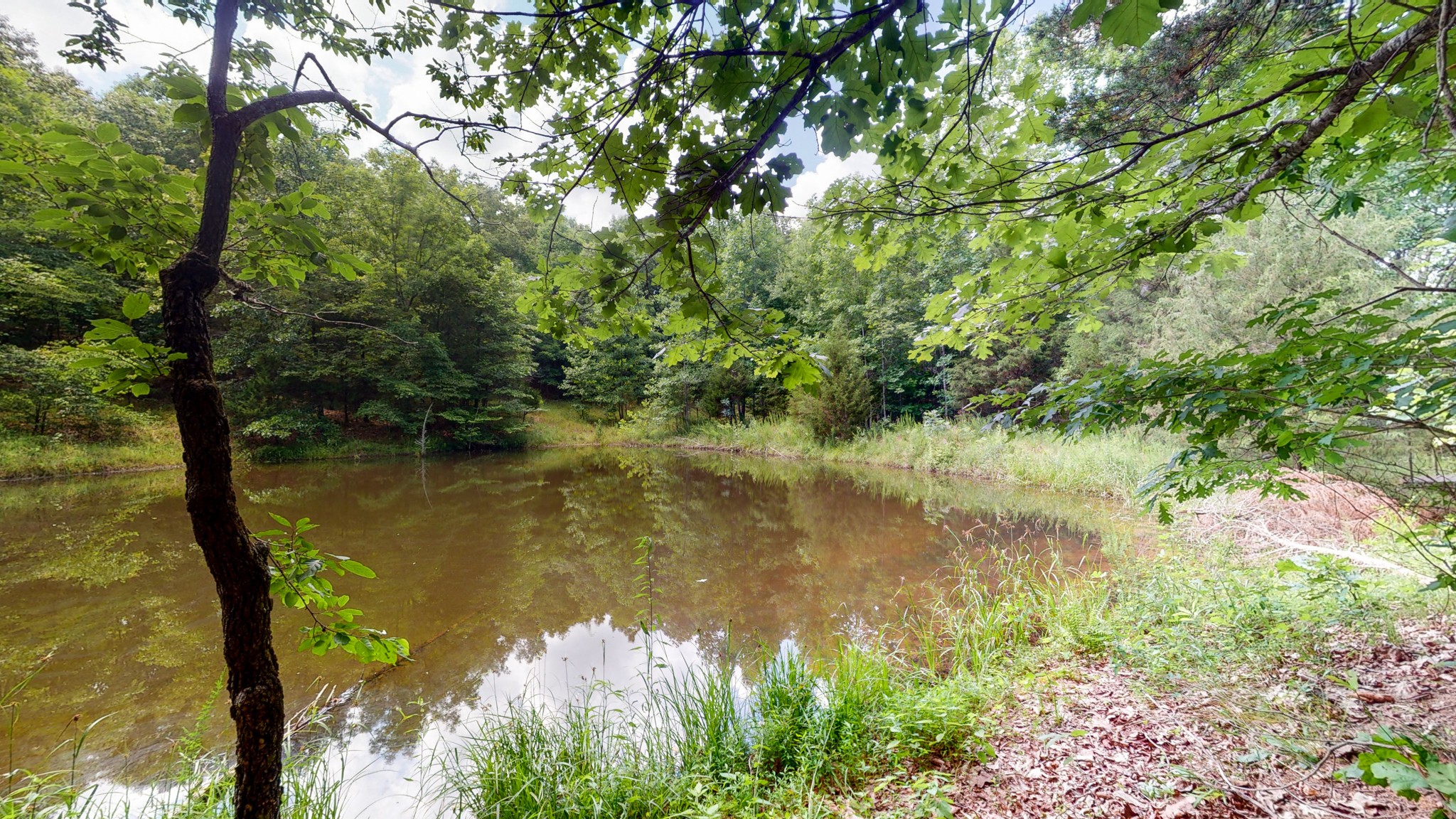 1560 Old Road Dickson, TN 37055 - Photo 29 of 47 Gallery Image 29