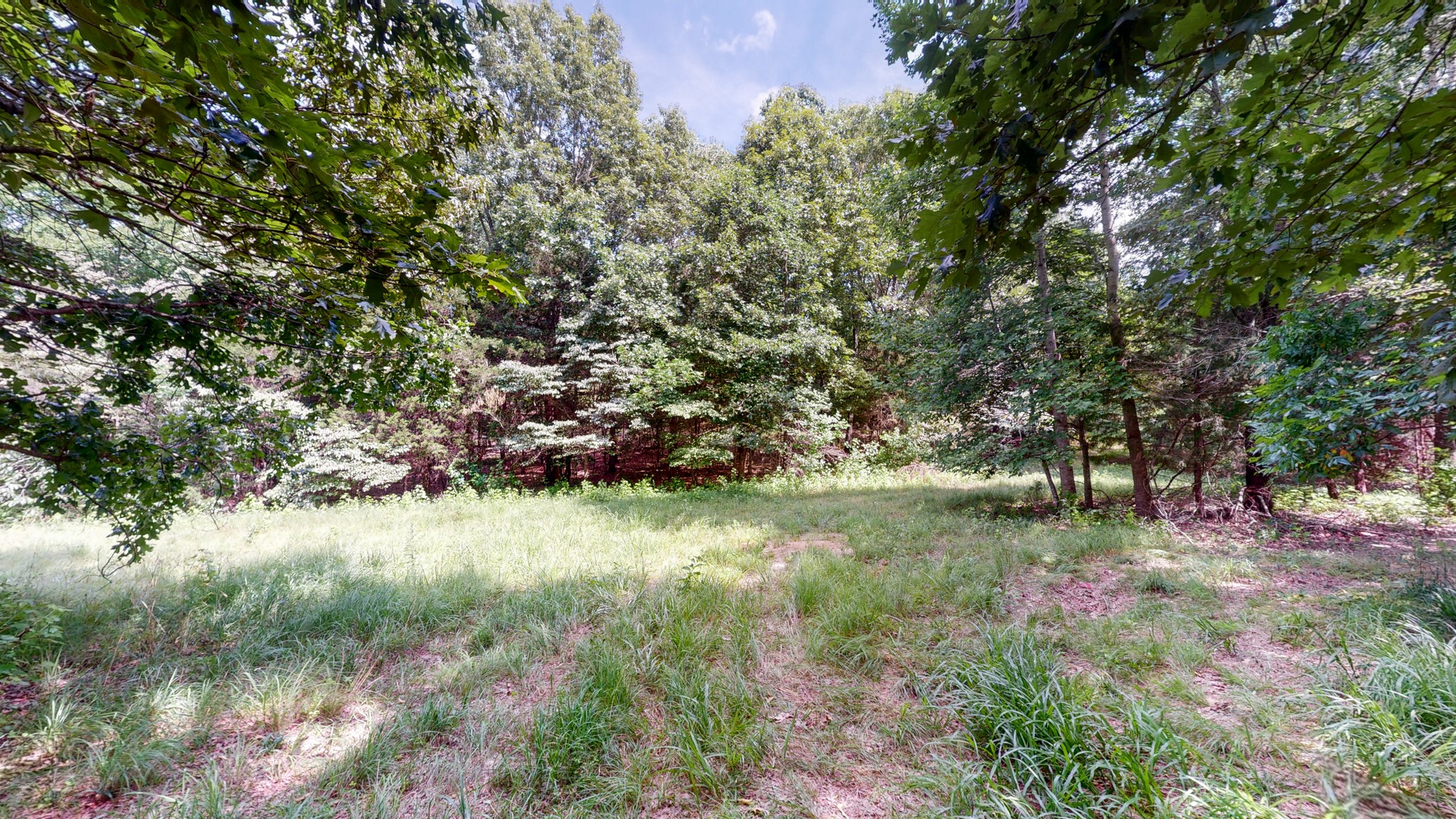 1560 Old Road Dickson, TN 37055 - Photo 32 of 47 Gallery Image 32