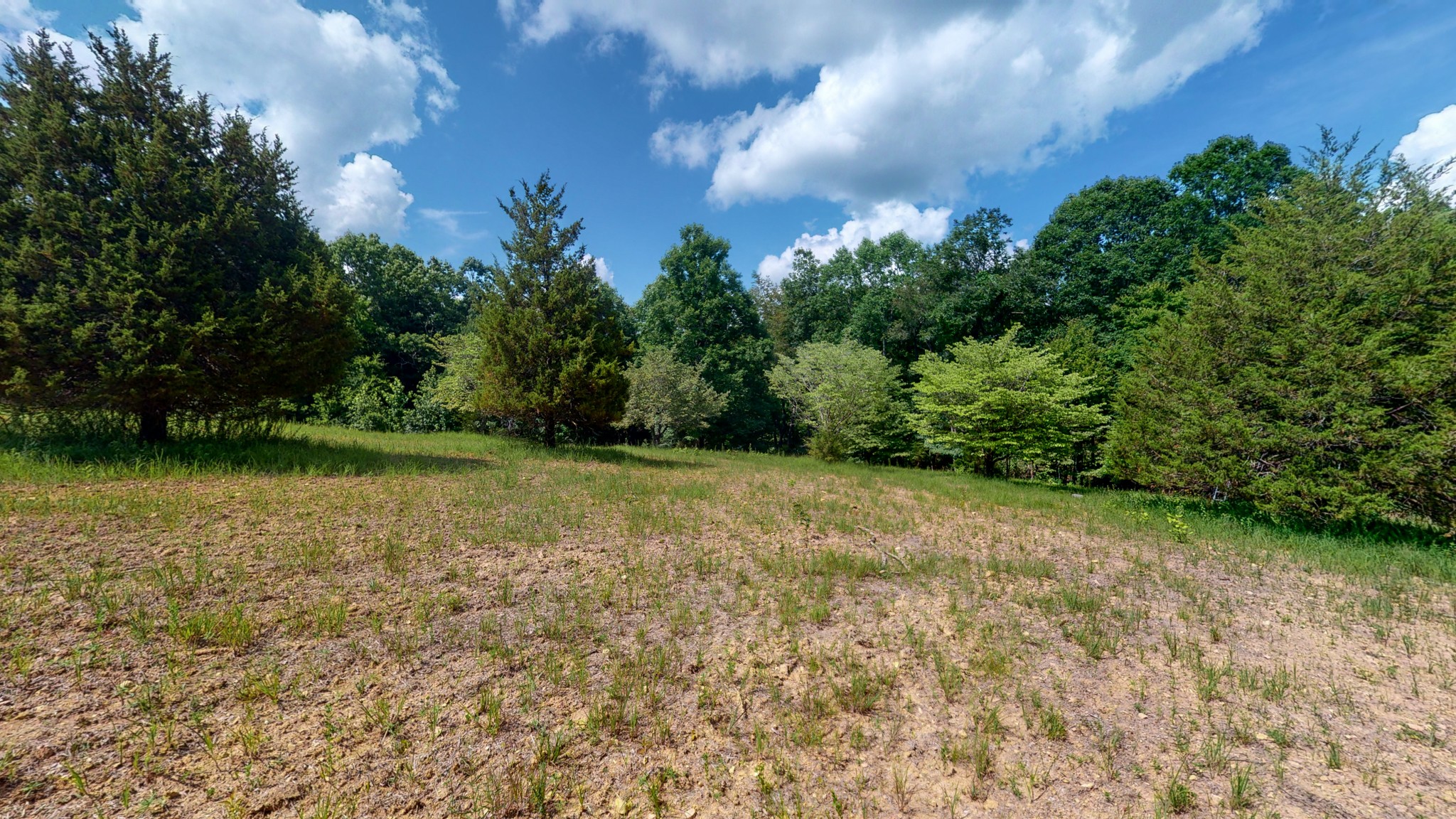 1560 Old Road Dickson, TN 37055 - Photo 34 of 47 Gallery Image 34