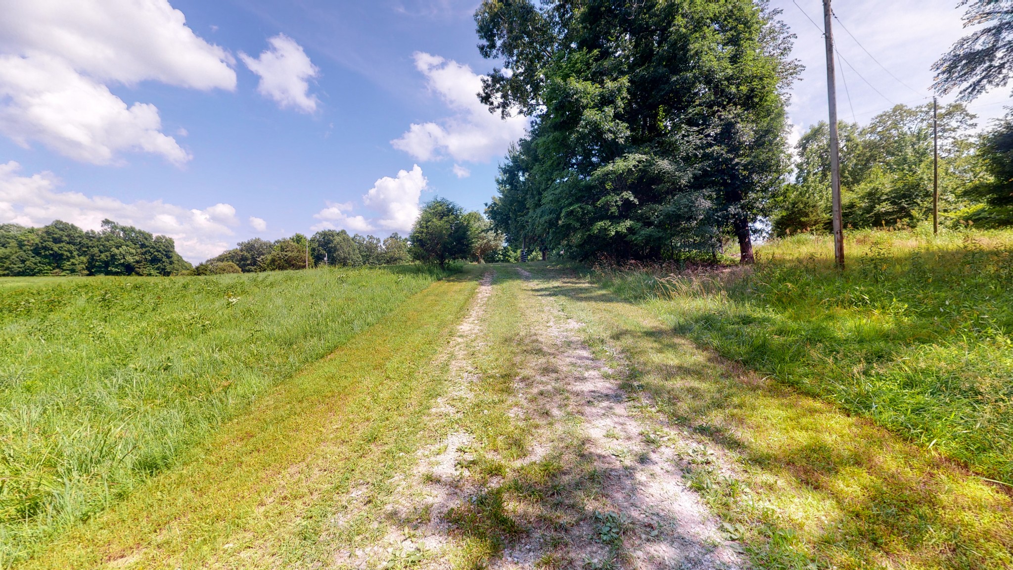 1560 Old Road Dickson, TN 37055 - Photo 38 of 47 Gallery Image 38