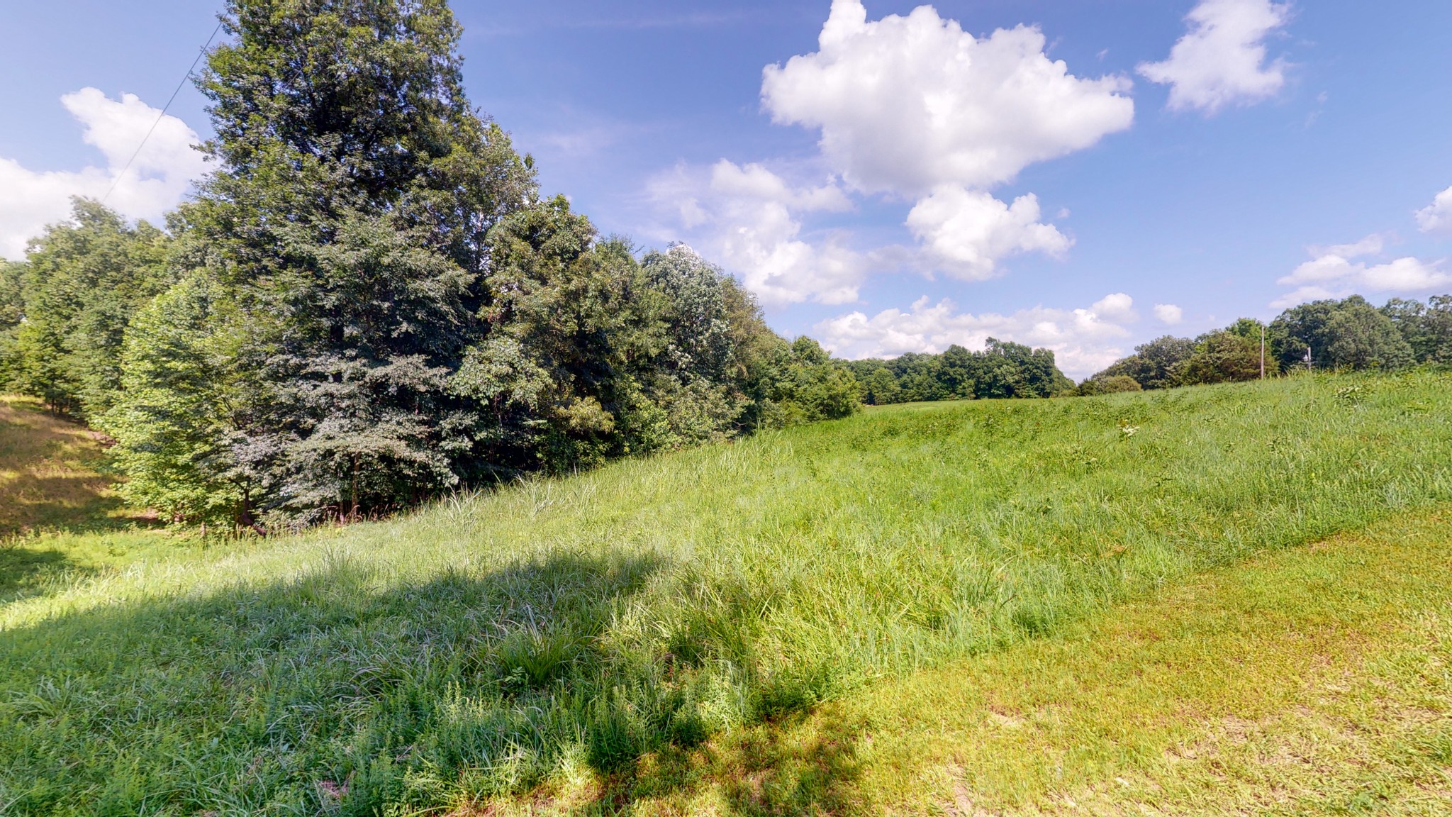 1560 Old Road Dickson, TN 37055 - Photo 39 of 47 Gallery Image 39
