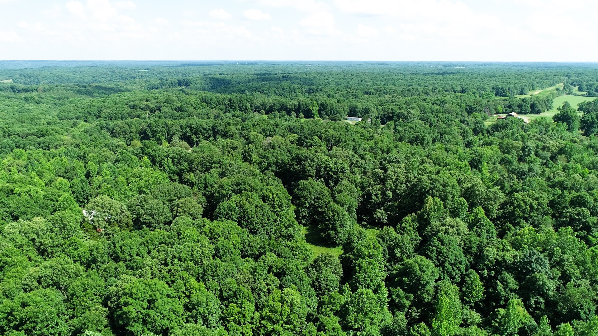 1560 Old Road Dickson, TN 37055 - Photo 42 of 47 Gallery Image 42