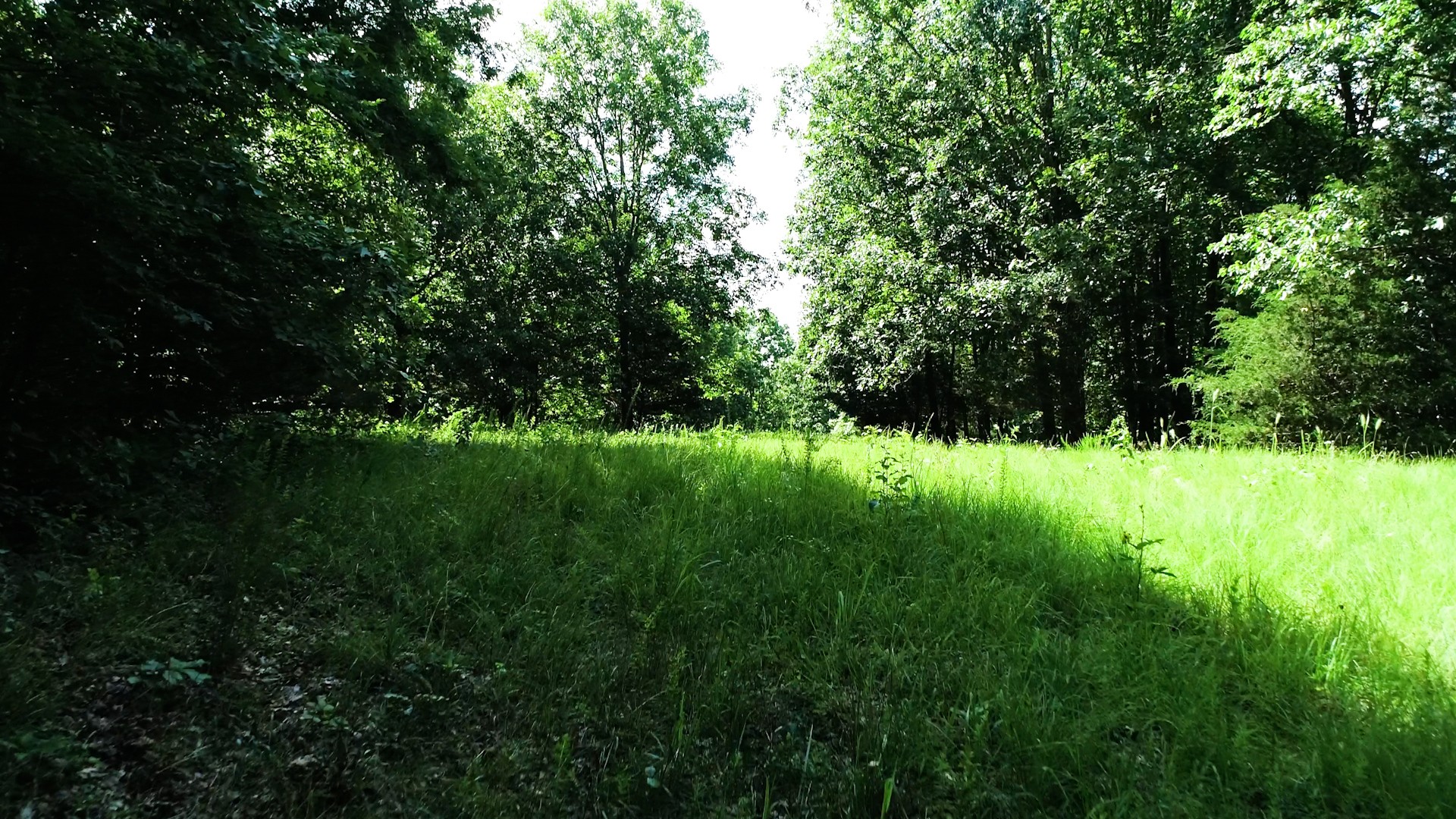 1560 Old Road Dickson, TN 37055 - Photo 44 of 47 Gallery Image 44