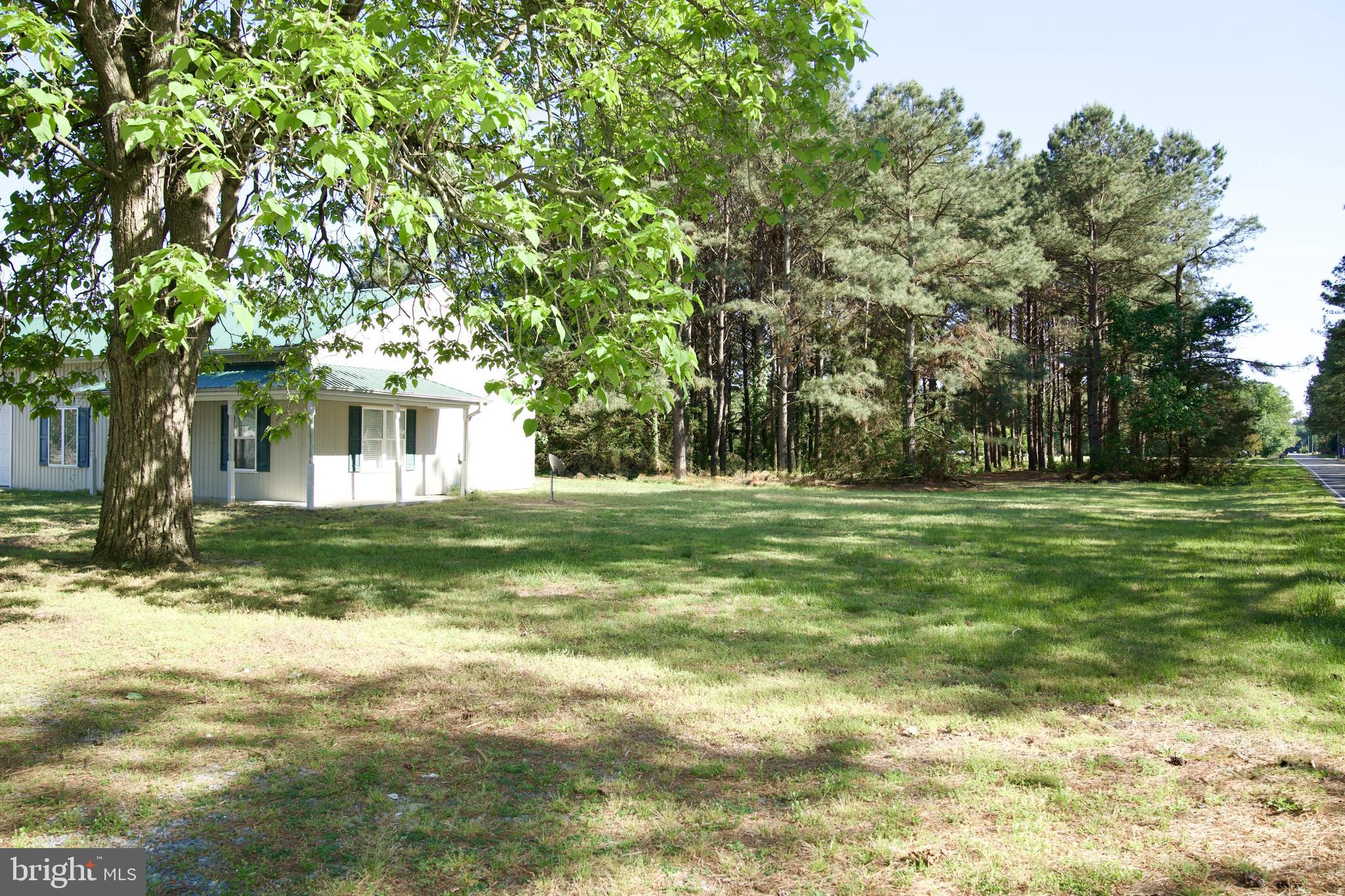 31867 Shavox Road Salisbury, MD 21804 - Photo 31 of 64 a view of a house with a big yard and large trees