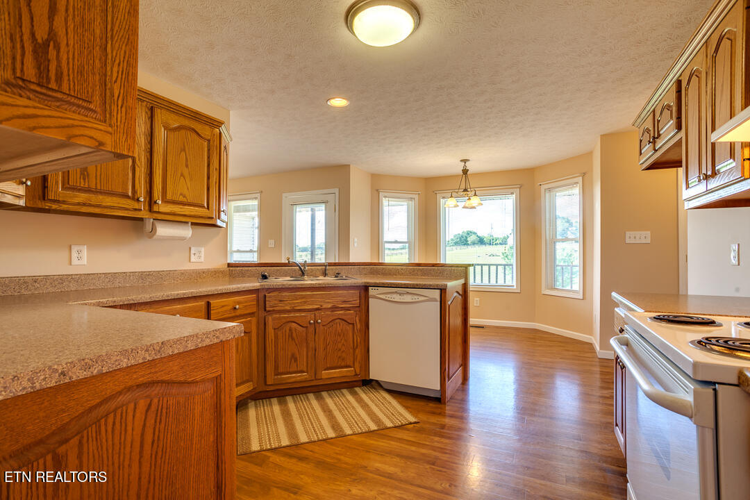 347 Ranch Road Blaine, TN 37709 - Photo 12 of 58 040240530-1-347RanchRdBlaineTn-SCREEN SI