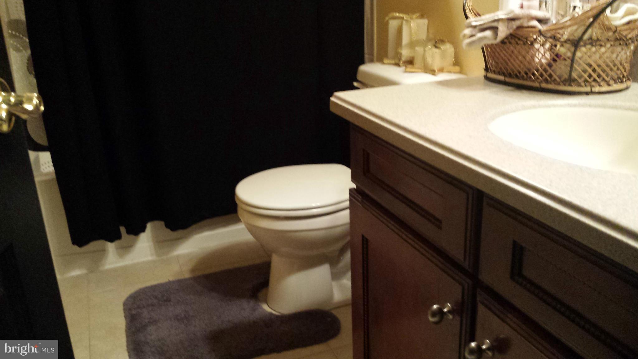 1603 Chapel Ridge Court Hanover, MD 21076 - Photo 8 of 14 Bath