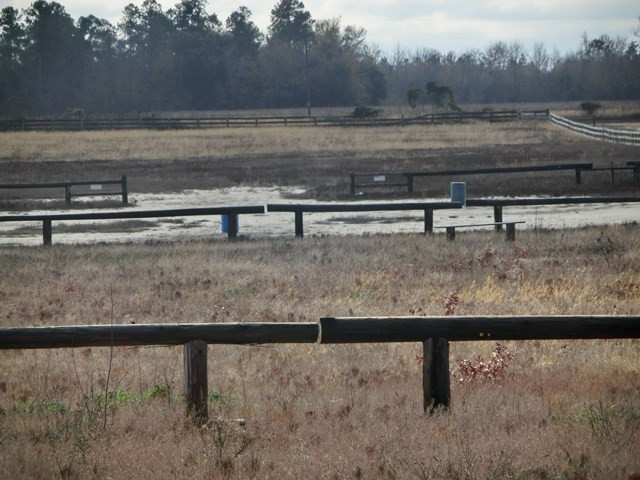 F & G Pickett Post Road Windsor, SC 29856 - Photo 5 of 18