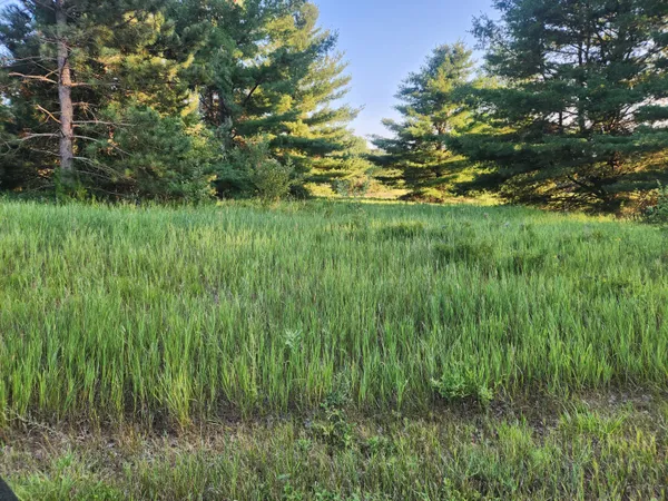 $3,000 | 11535 Pierce Road, Unit 786, Canadian Lakes, MI 49346