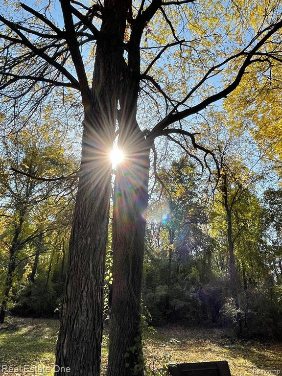0 Dequindre Road Oakland, MI 48363 - Photo 2 of 14