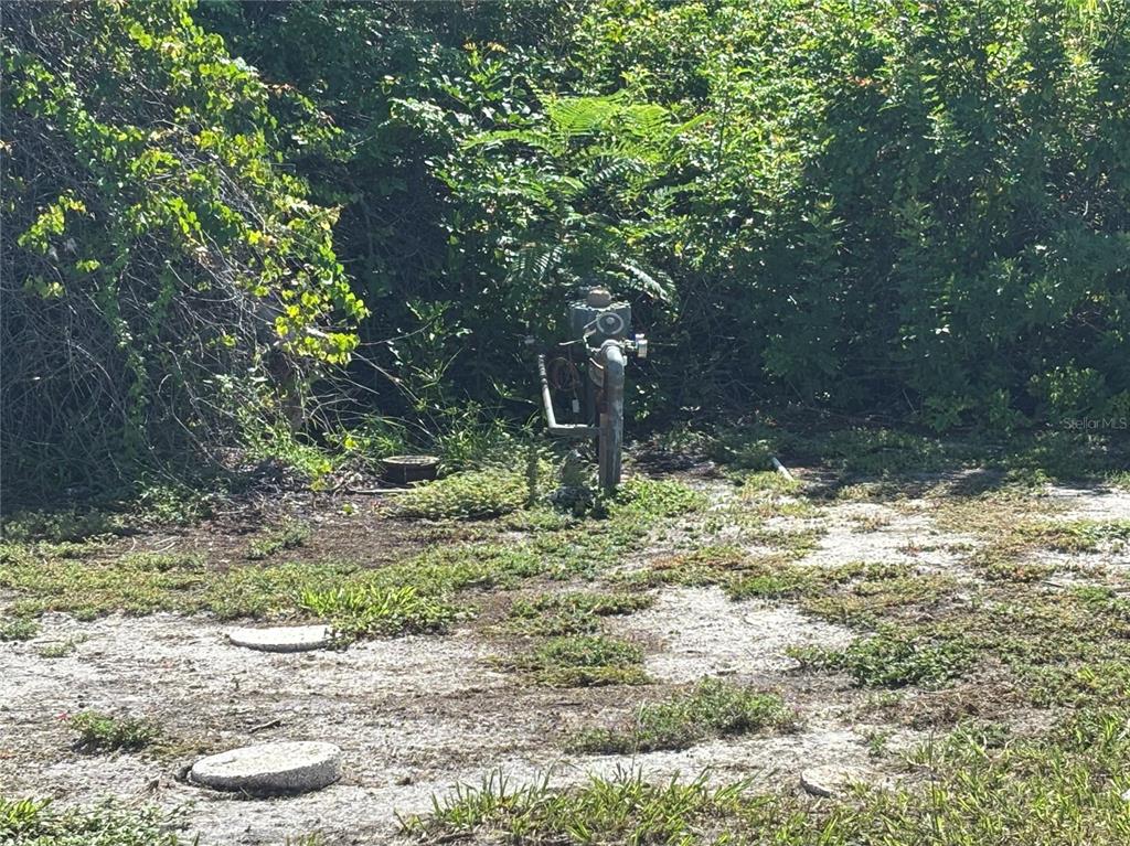 30 Hatchett Creek Road Venice, FL 34285 - Photo 10 of 17 a backyard of a house with a yard and large tree