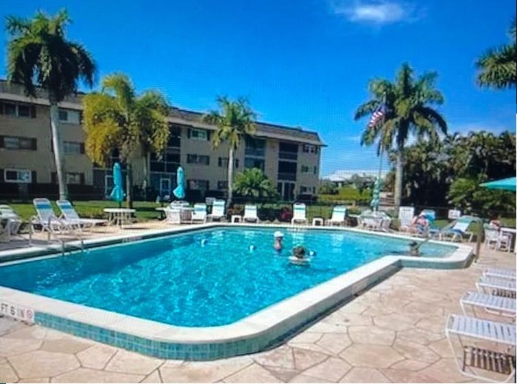 5419 Rattlesnake Hammock Road, Unit F204 Naples, FL 34113 - Photo 6 of 8 a view of swimming pool that has lawn chairs potted plants and palm trees