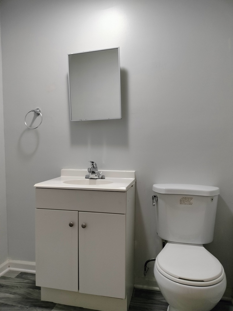 7910 South Muskegon Avenue, Unit 1 Chicago, IL 60617 - Photo 14 of 21 a bathroom with a toilet sink and mirror