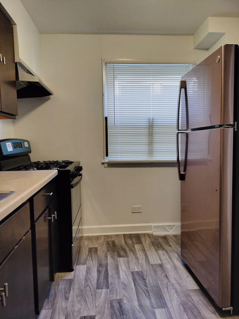 7910 South Muskegon Avenue, Unit 1 Chicago, IL 60617 - Photo 16 of 21 a kitchen with a wooden floor and a sink