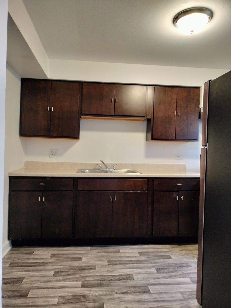 7910 South Muskegon Avenue, Unit 1 Chicago, IL 60617 - Photo 17 of 21 a bathroom with a double vanity sink and mirror