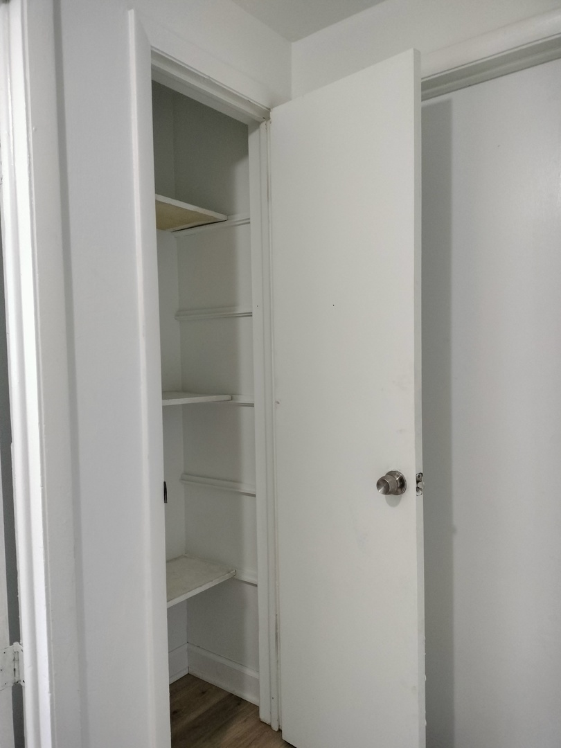 7910 South Muskegon Avenue, Unit 1 Chicago, IL 60617 - Photo 9 of 21 a view of an empty walk in closet