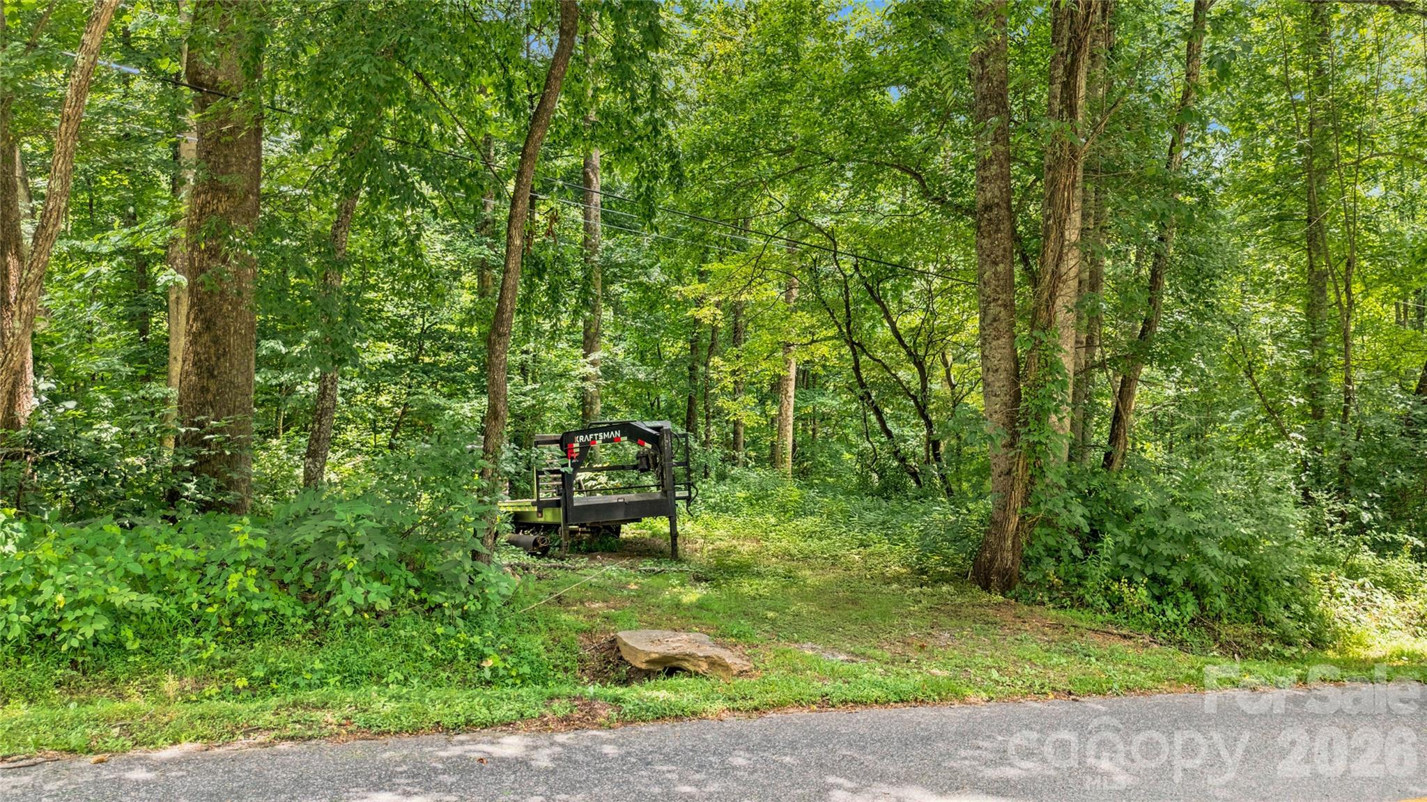 0 Fisher Creek Road Sylva, NC 28779 - Photo 16 of 18
