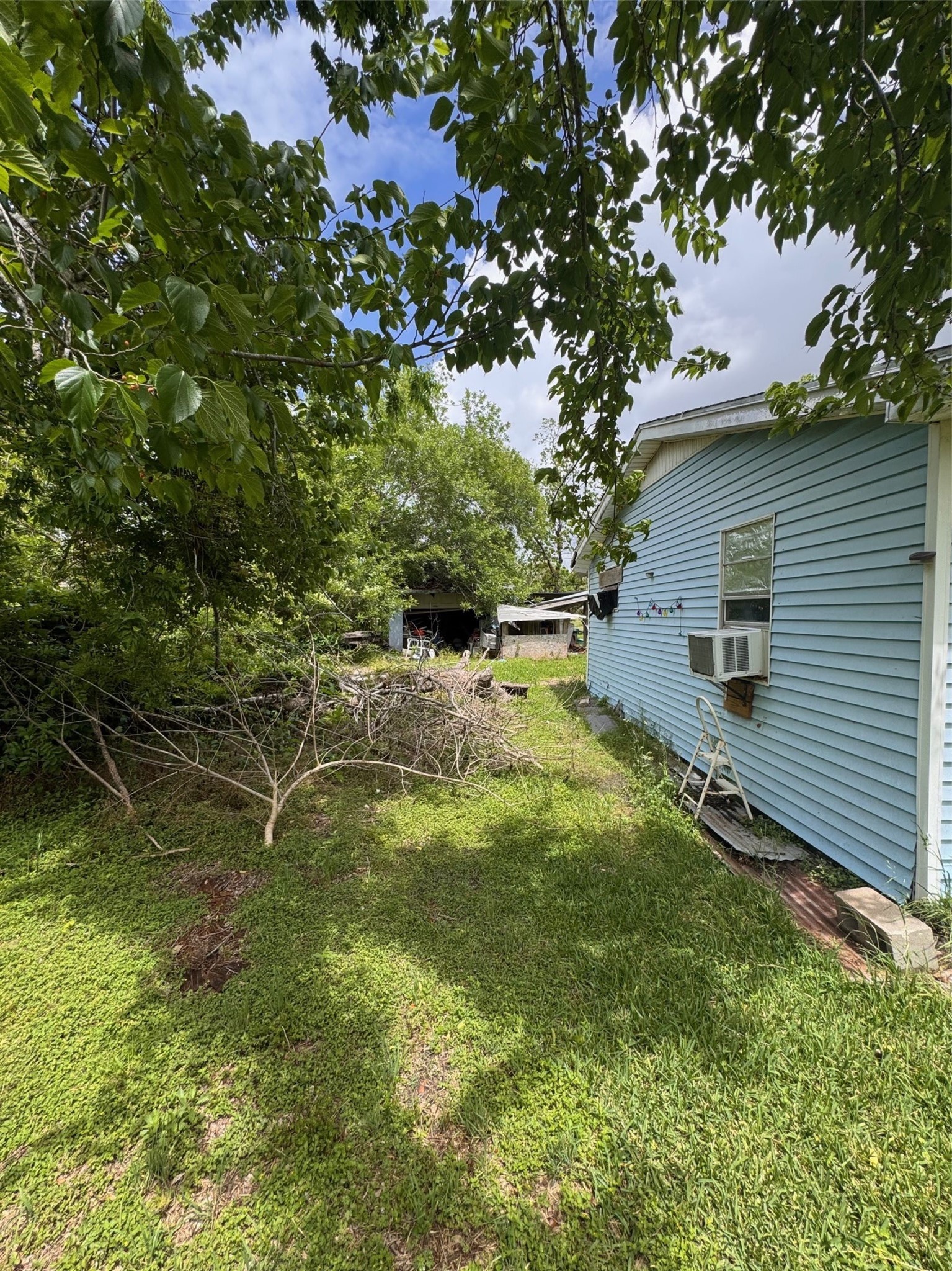 6021 Hertford Street Houston, TX 77048 - Photo 11 of 16 a backyard of a house with lots of green space