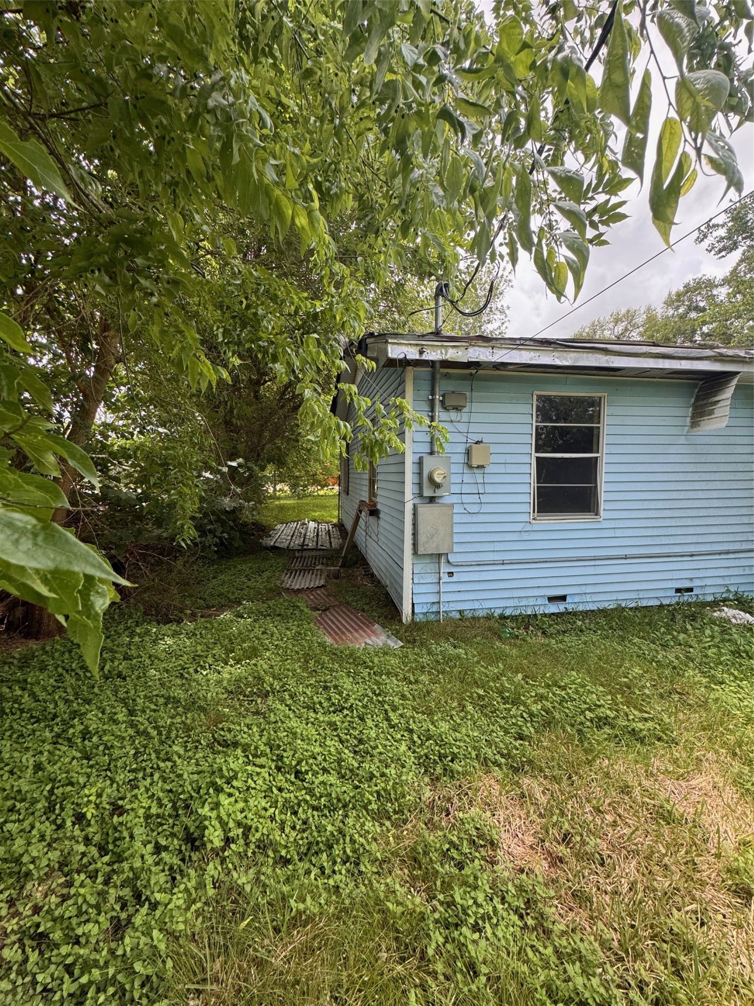 6021 Hertford Street Houston, TX 77048 - Photo 16 of 16 a backyard of a house with lots of green space