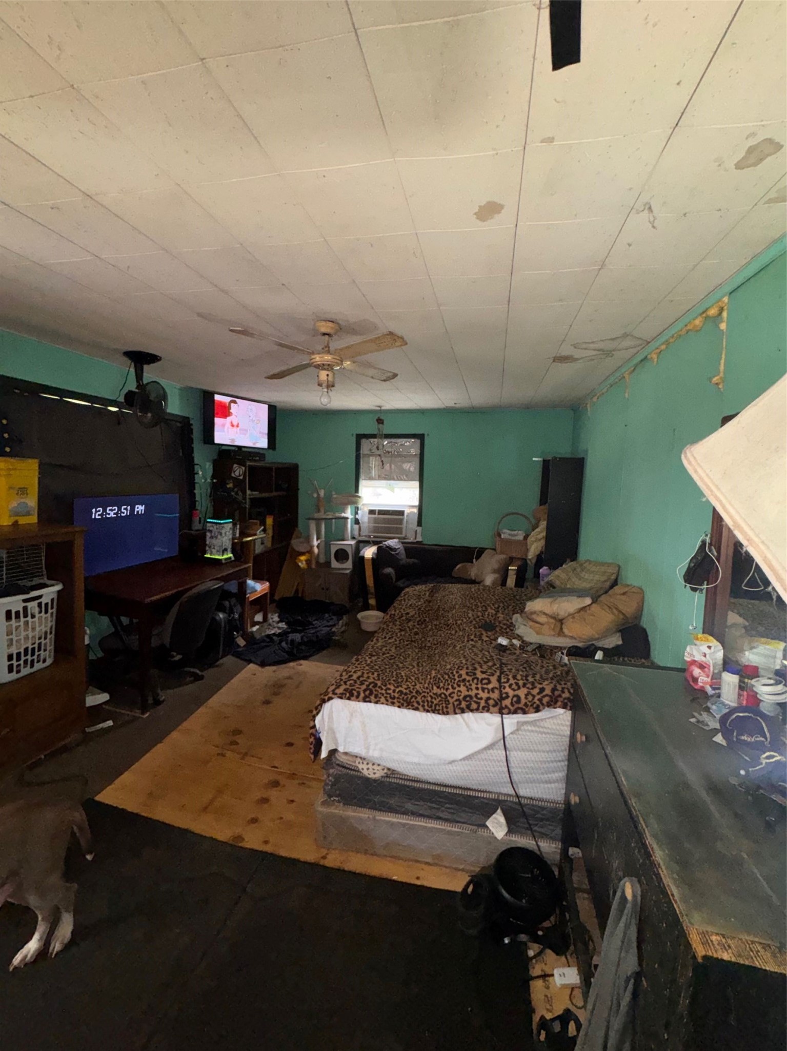 6021 Hertford Street Houston, TX 77048 - Photo 6 of 16 a room with furniture and a flat screen tv