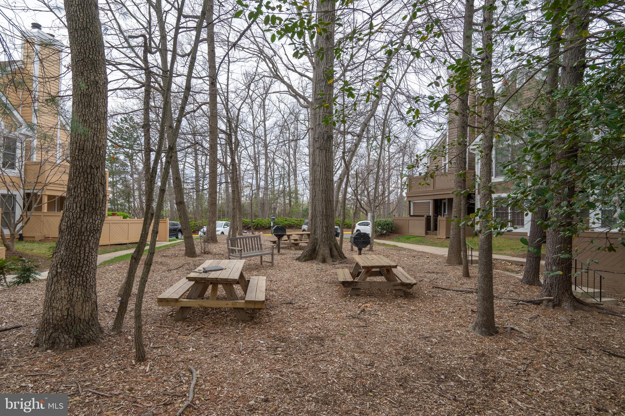 1435 Church Hill Place Reston, VA 20194 - Photo 20 of 30 a view of a park with large trees
