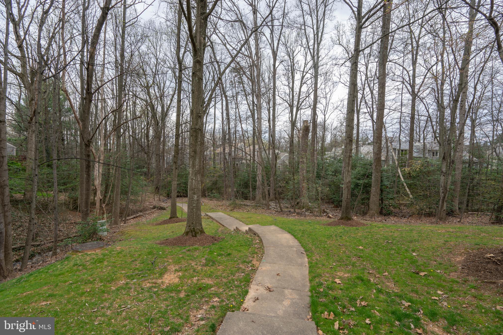 1435 Church Hill Place Reston, VA 20194 - Photo 29 of 30 a view of a park with large trees