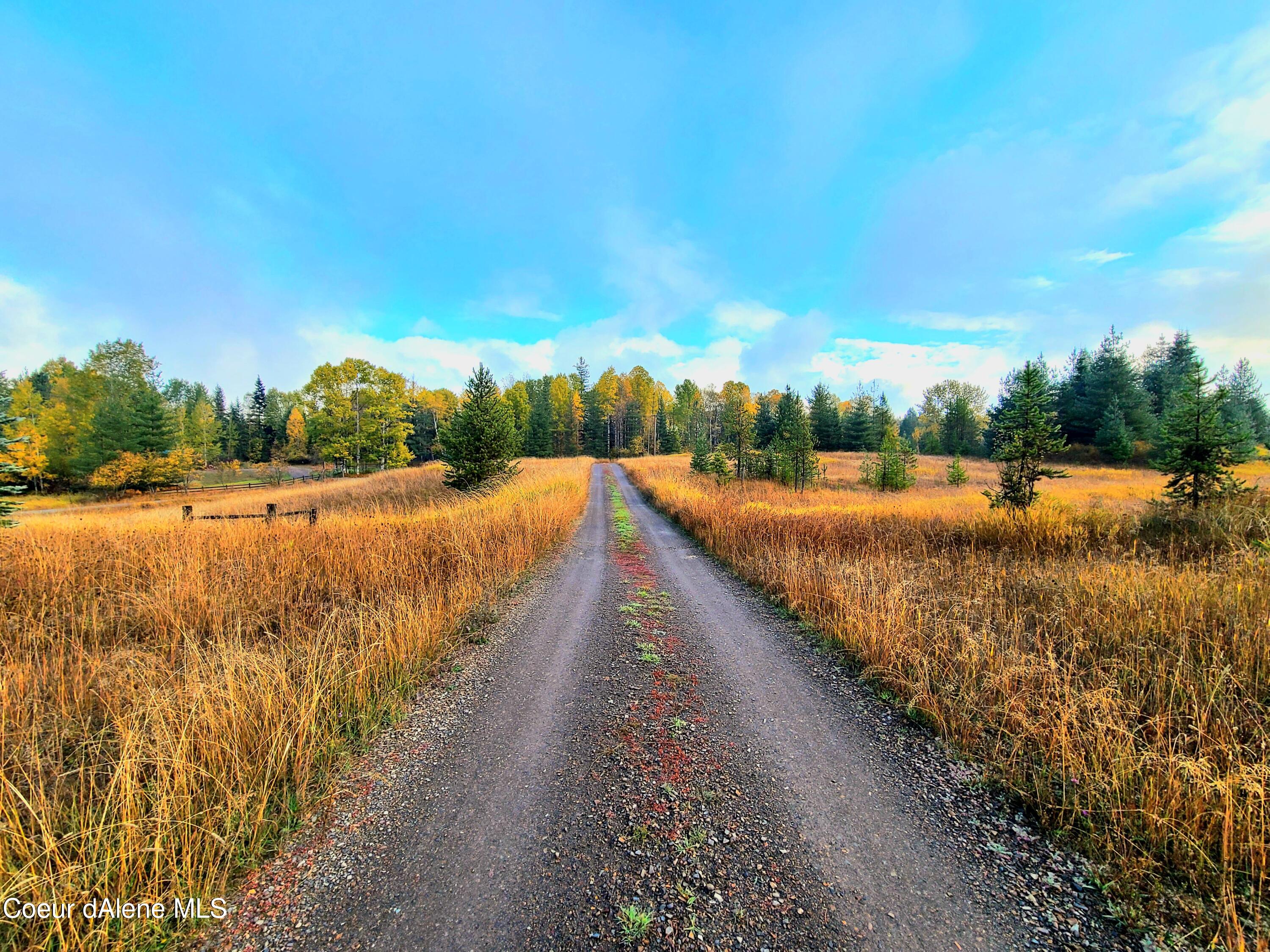 616 Painter Road Clark Fork, ID 83811 - Photo 55 of 64 Driveway