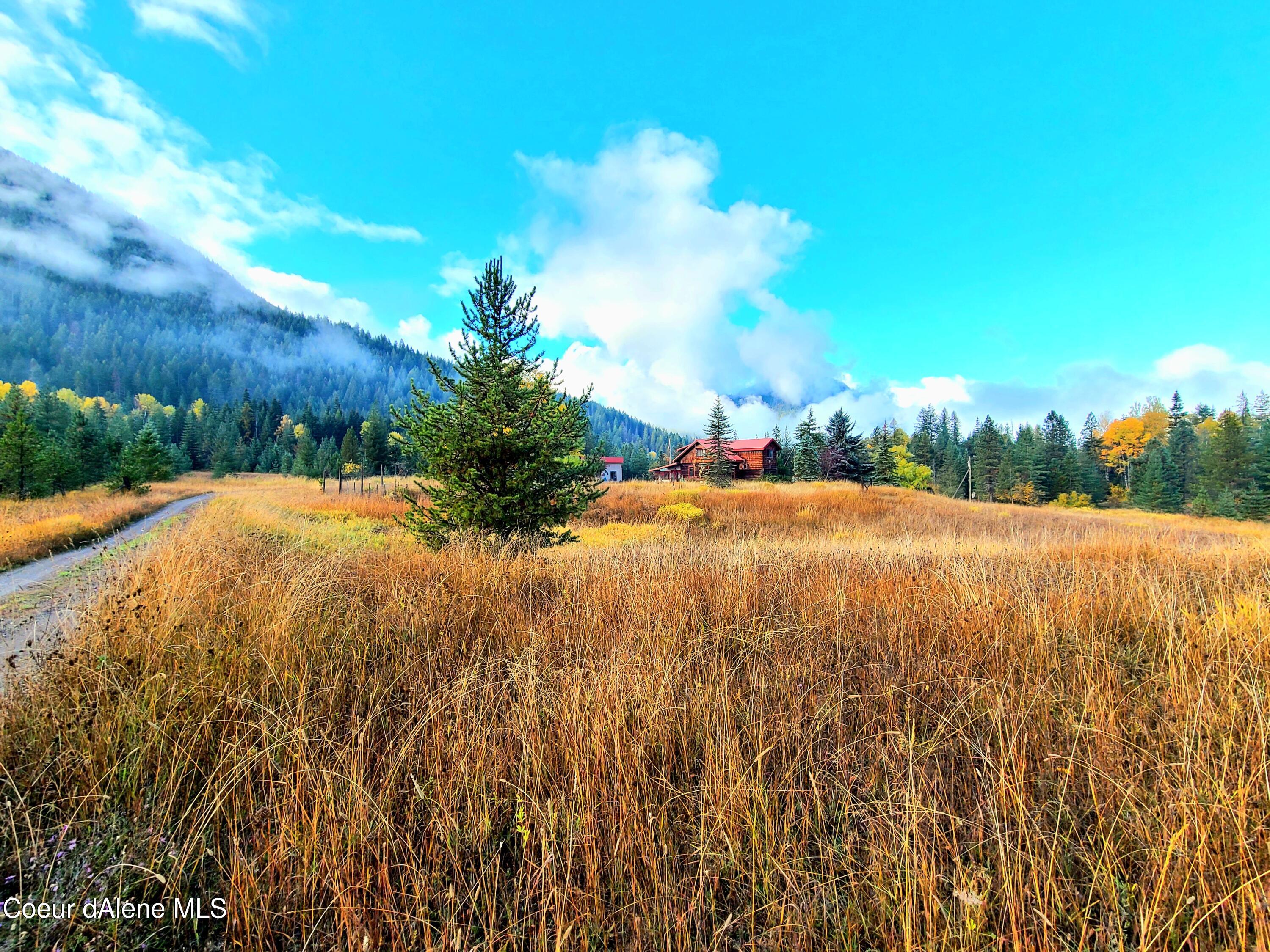 616 Painter Road Clark Fork, ID 83811 - Photo 57 of 64 Pasture