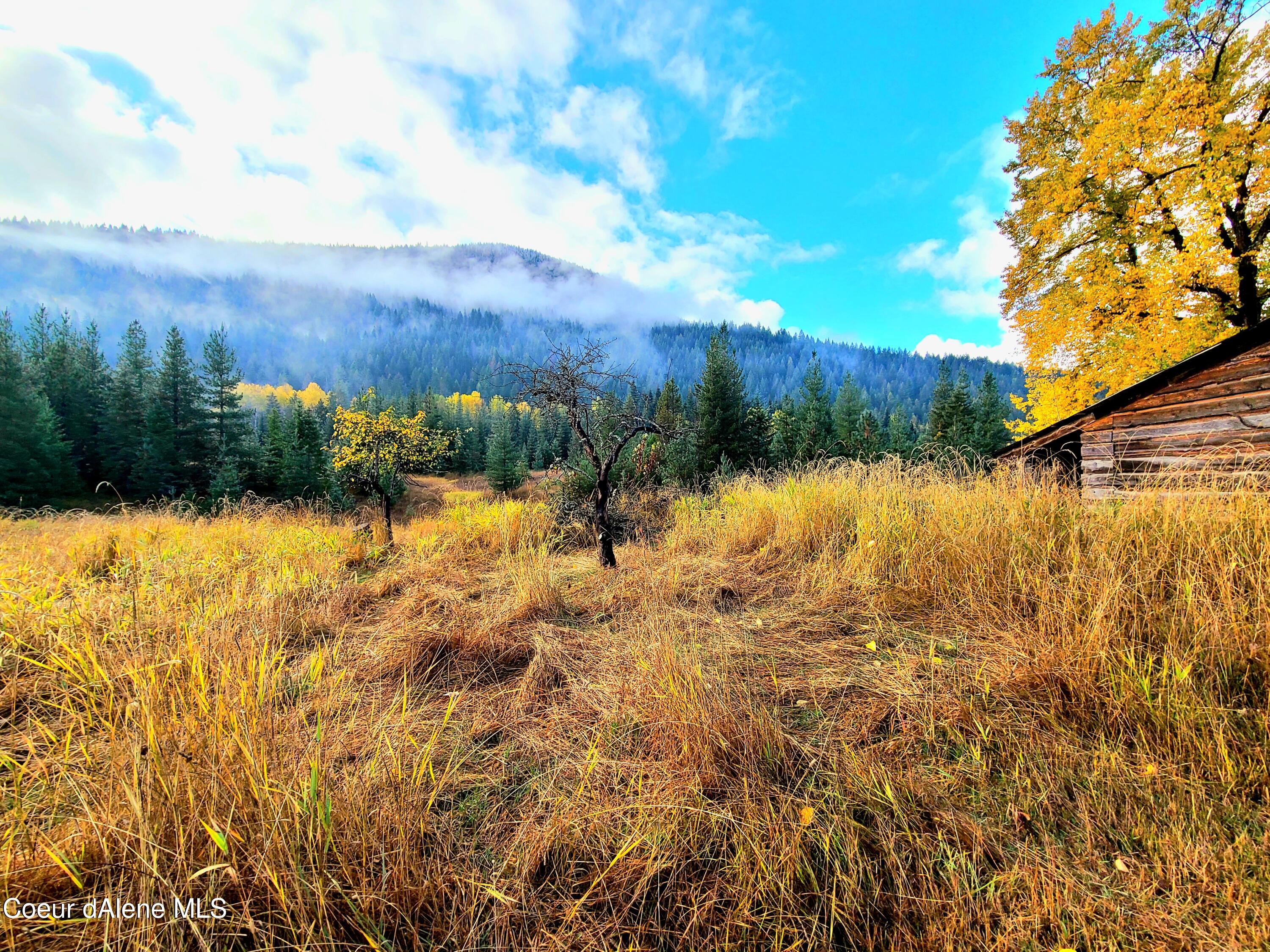 616 Painter Road Clark Fork, ID 83811 - Photo 7 of 64 South View