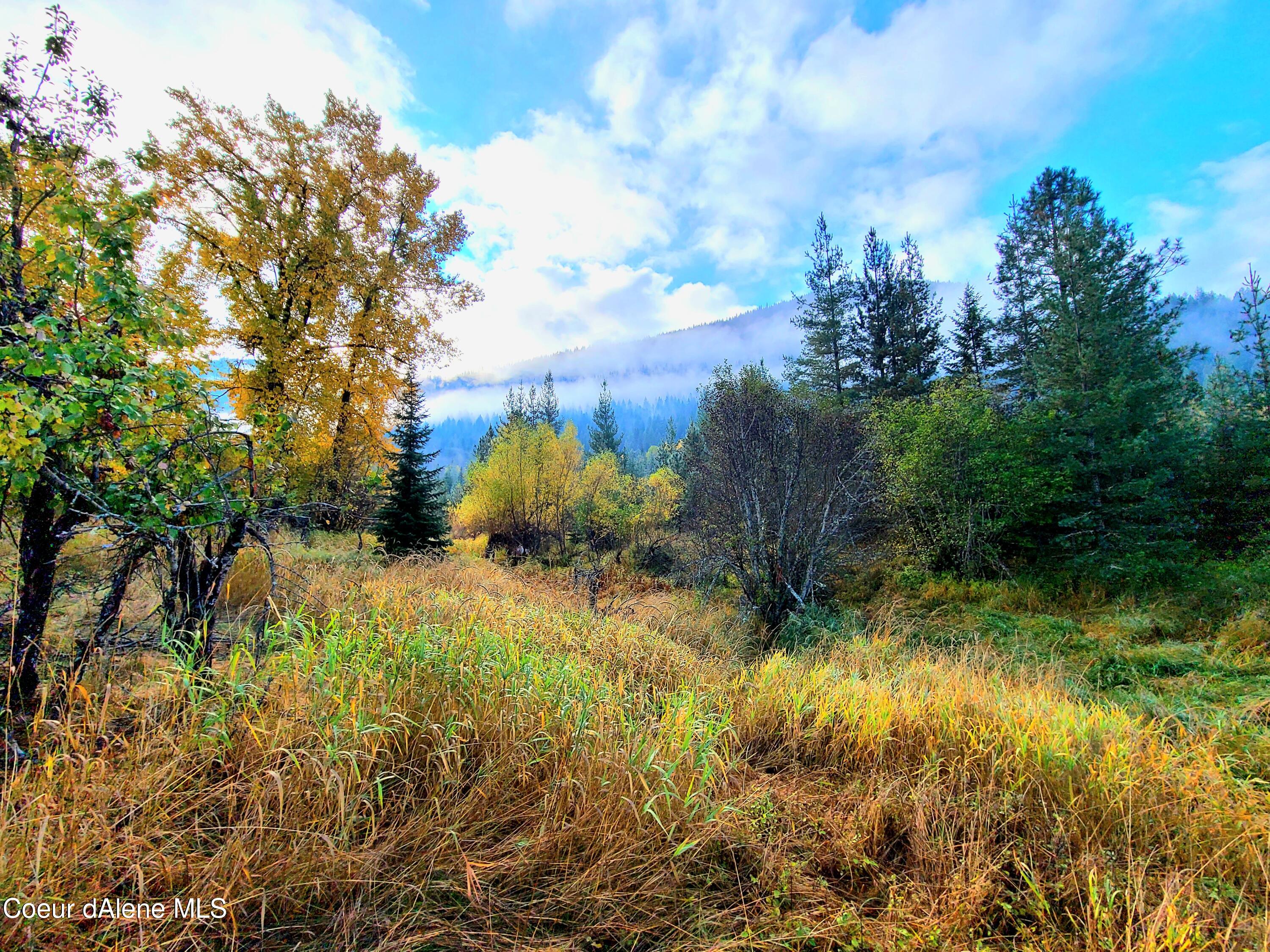 616 Painter Road Clark Fork, ID 83811 - Photo 8 of 64 East View