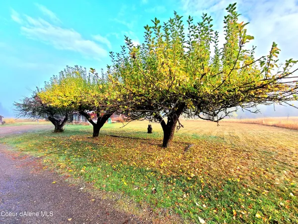 $649,000 | 616 Painter Road, Clark Fork, ID 83811