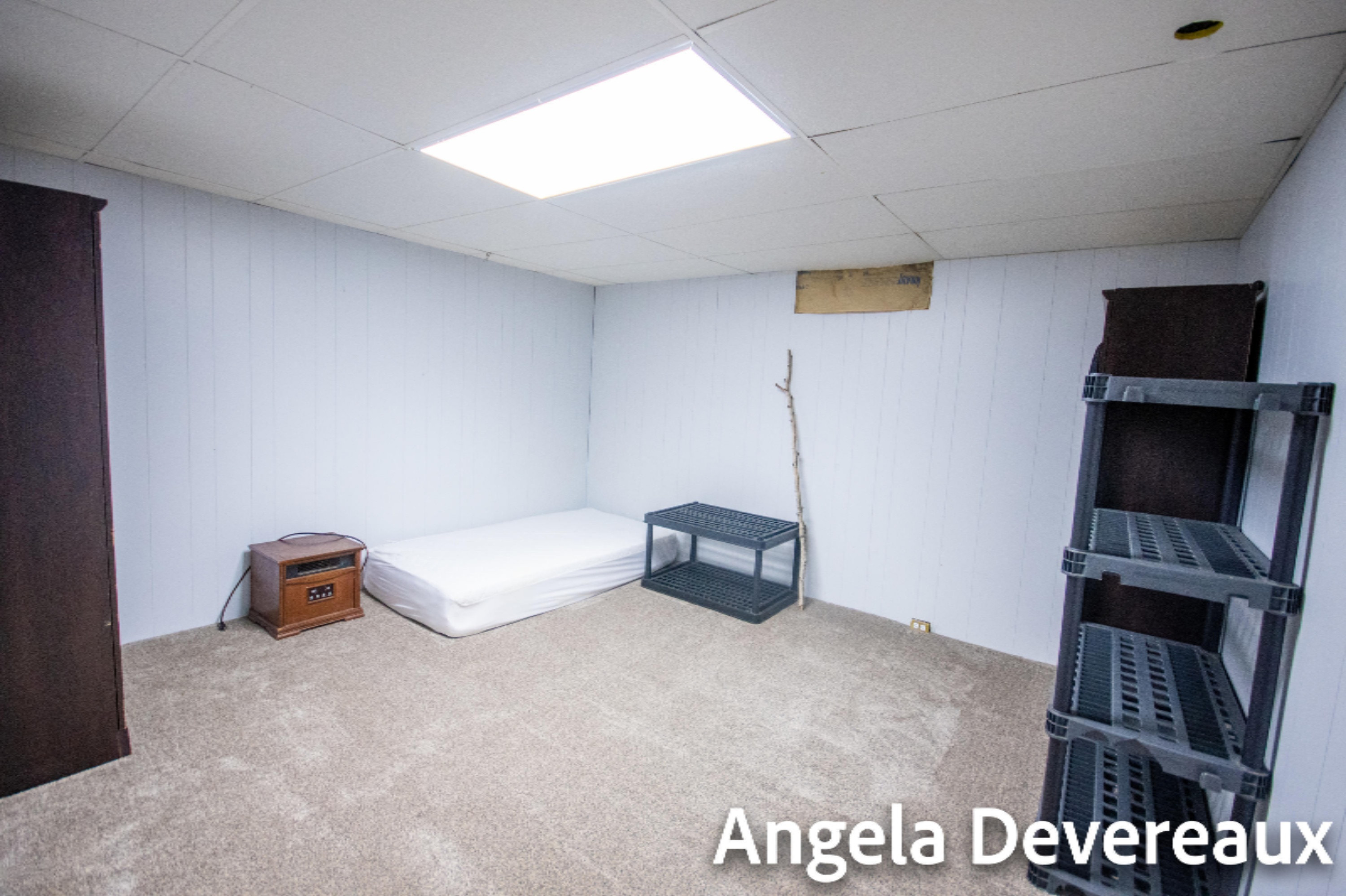 8151 Youngman Road Greenville, MI 48838 - Photo 43 of 46 KMH_6706