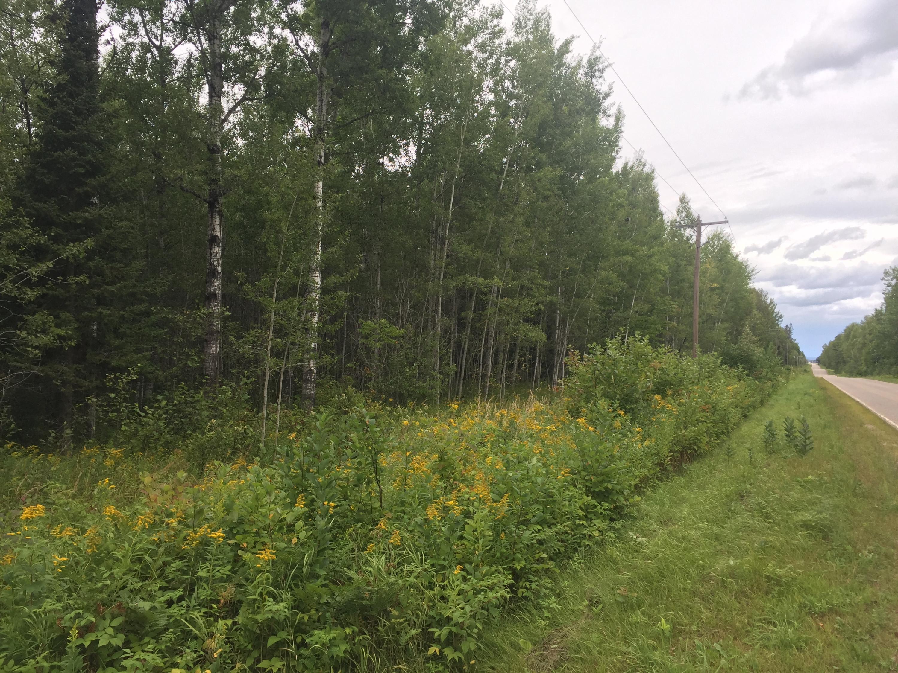 13354 South Bound Road Brimley, MI 49715 - Photo 6 of 7 Gallery Image 6