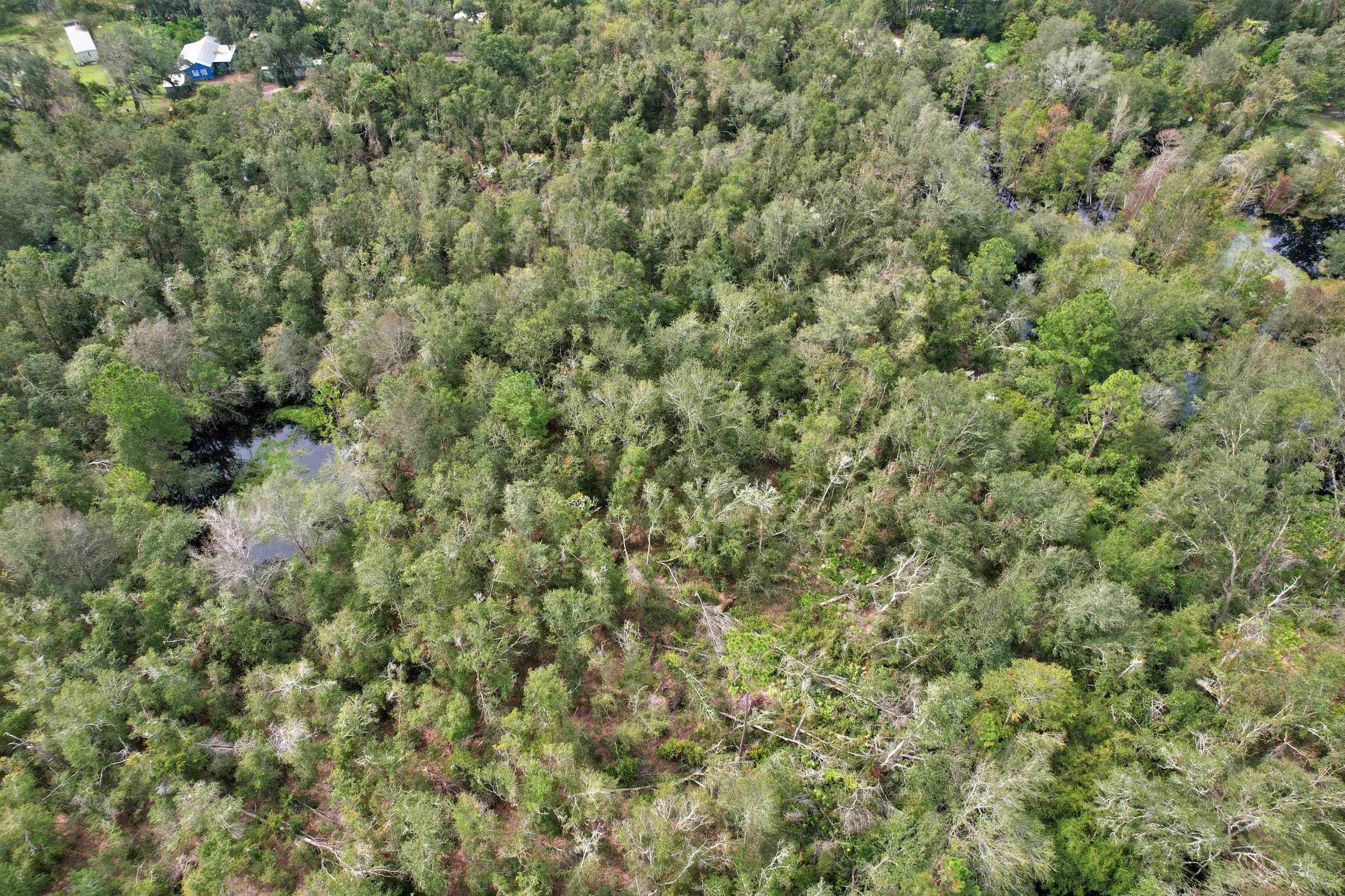 4 Tbd Mayo, FL 32066 - Photo 2 of 5