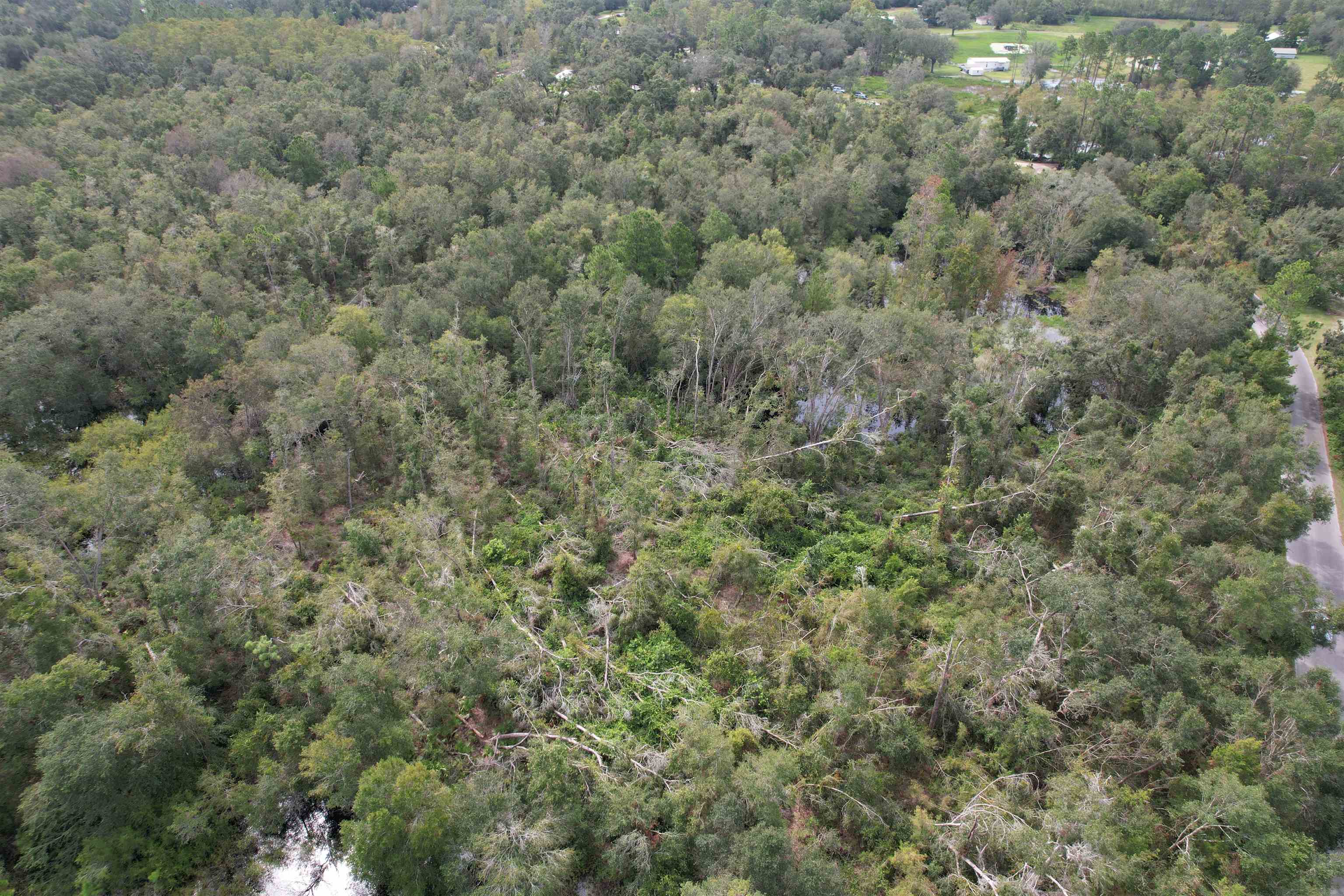 4 Tbd Mayo, FL 32066 - Photo 4 of 5