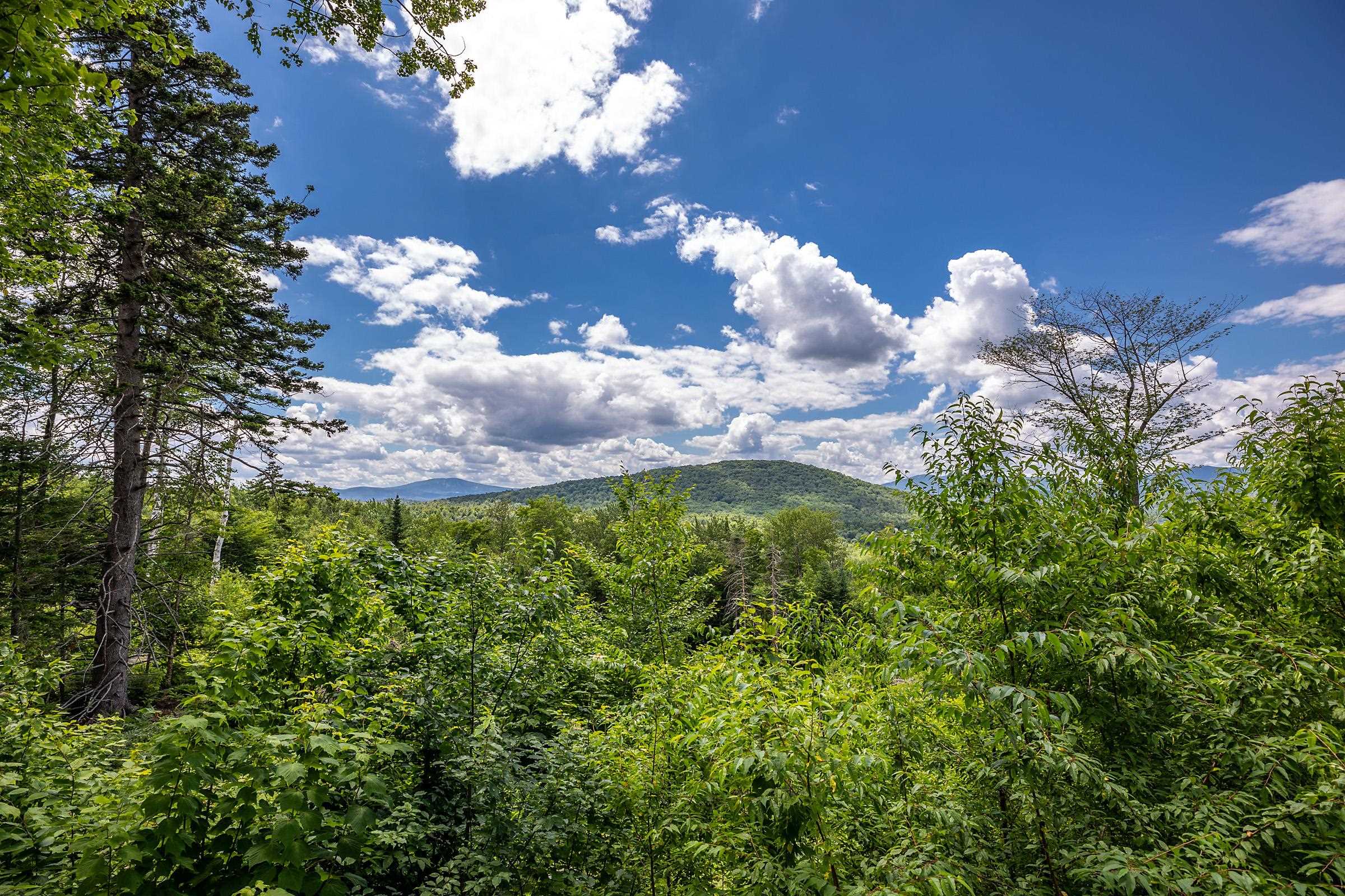 0 Little Pond Road, Unit 1 Andover, VT 05143 - Photo 5 of 32