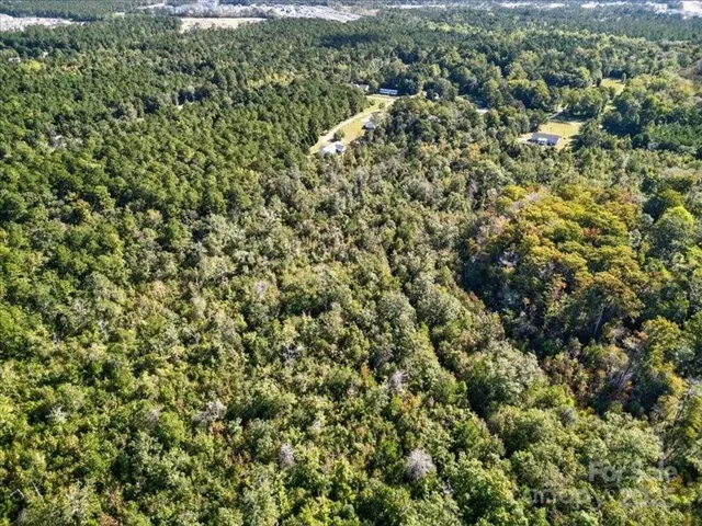 view of a city with lots of bushes