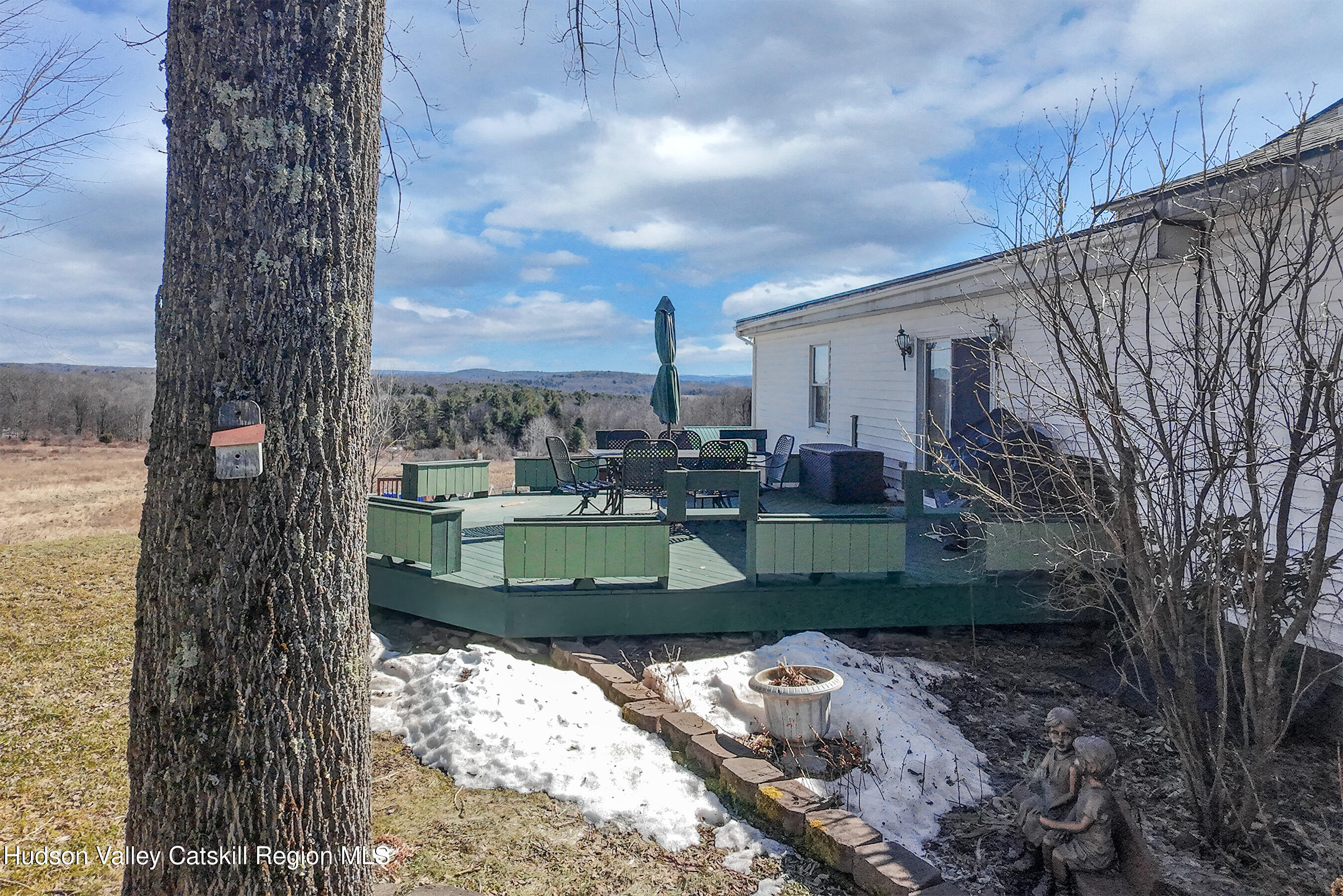 802 County Highway 3A Unadilla, NY 13849 - Photo 49 of 65 a view of a garden filled with a large tree