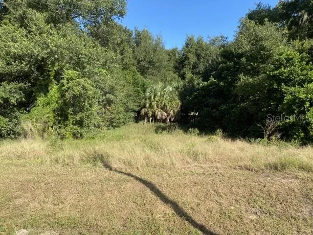 a view of a yard with an trees