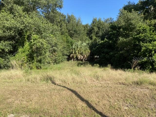 Us-441 Eustis, FL 32757 - Photo 3 of 4