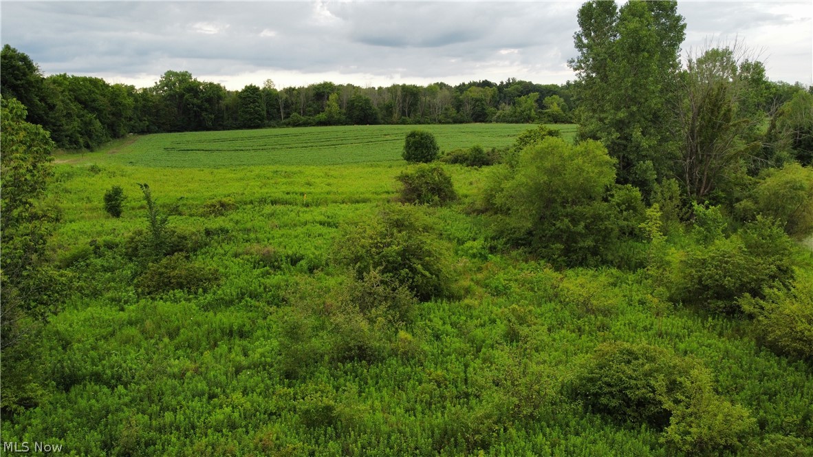 Palker Road Medina, OH 44256 - Photo 12 of 25 Gallery Image 12