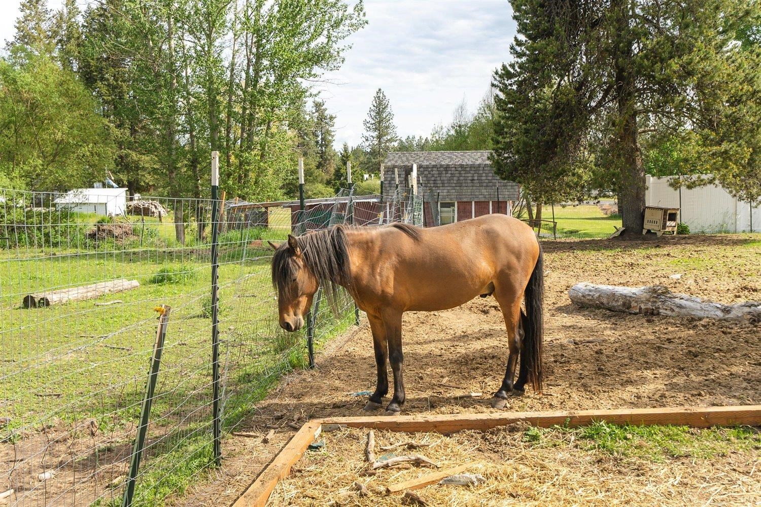 18728 North Yale Road Colbert, WA 99005 - Photo 35 of 47