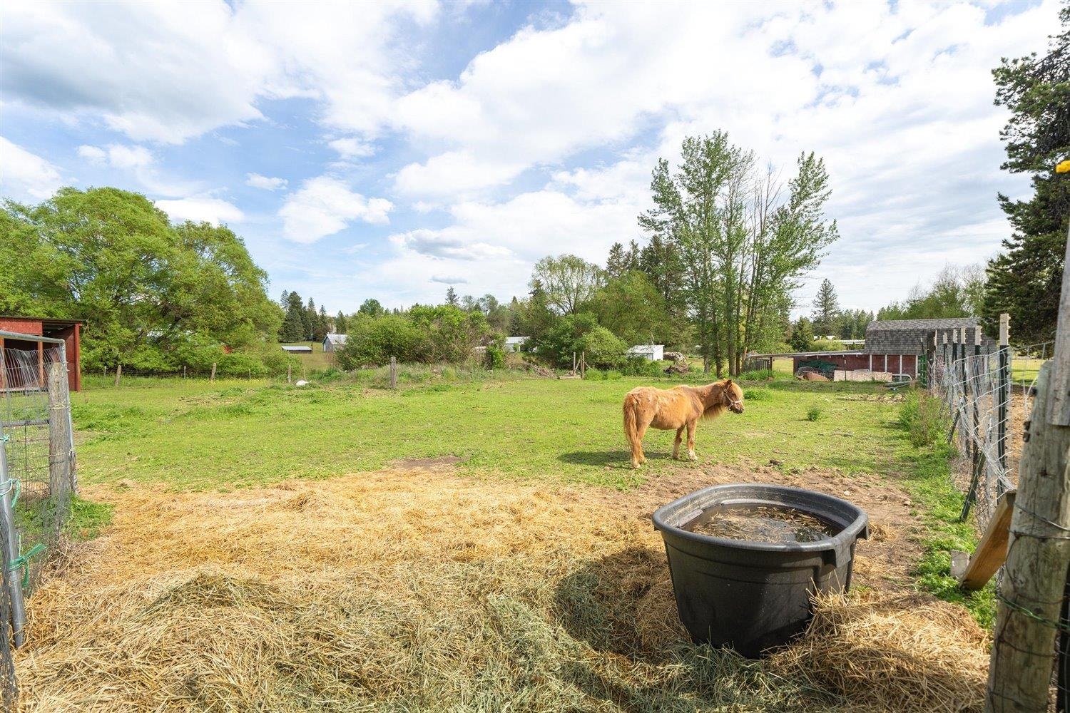18728 North Yale Road Colbert, WA 99005 - Photo 36 of 47