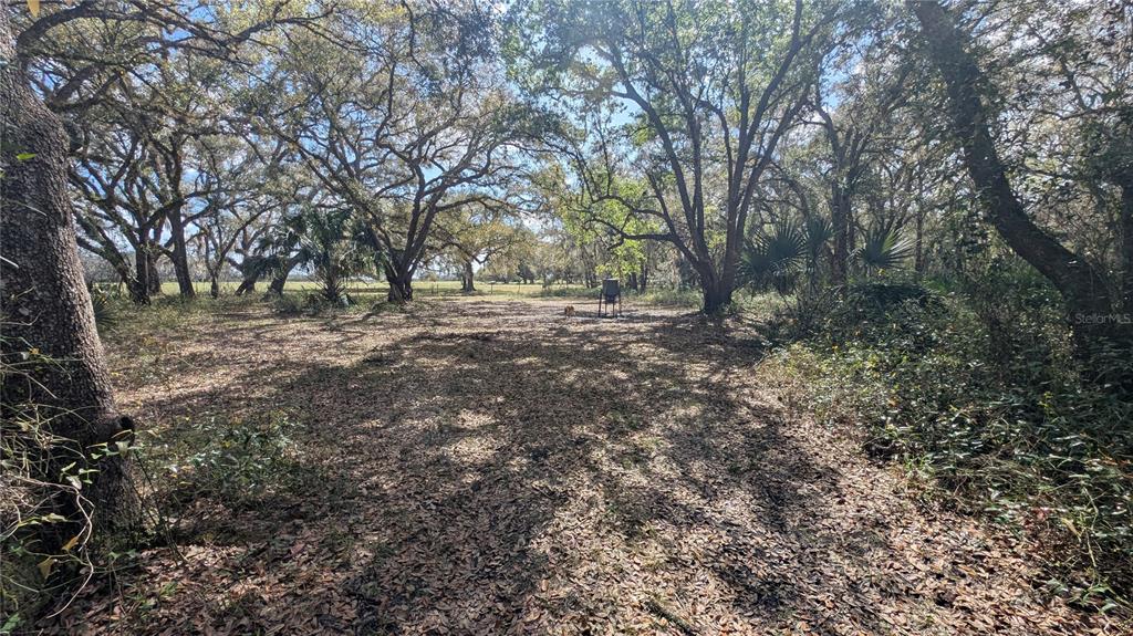 Gillette Road Zolfo Springs, FL 33890 - Photo 48 of 86 Gallery Image 48