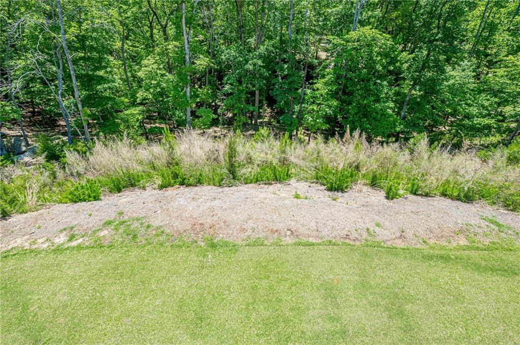 3024 Winding Ridge Waleska, GA 30183 - Photo 34 of 78